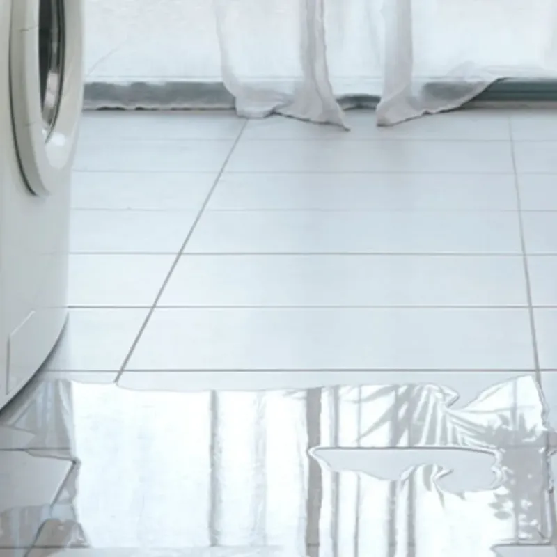 Appliance Leak Cleanup in Wallis, TX