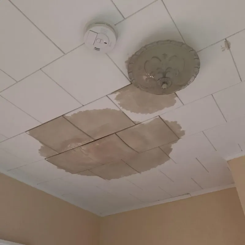 Ceiling Water Damage Repair in Wallis, TX