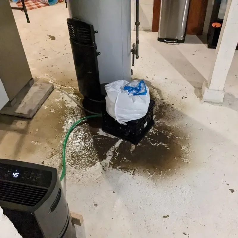 Sewage Backup Cleanup Service in Wallis, TX